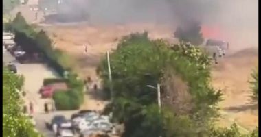 Un bărbat disperat la alergia la ambrozie a vrut să scape de tufa din fața blocului. În scurt timp s-a declanșat iadul - 2