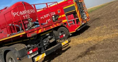 Stire din Eveniment : Incendiu puternic la două adăposturi de animale. Mai multe autospeciale au intervenit de urgență