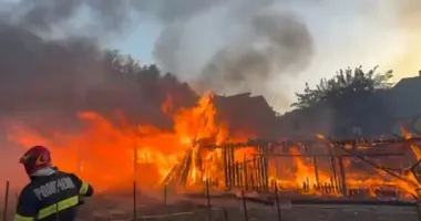 Stire din Eveniment : Incendiu devastator în zori. Zeci de animale au pierit în flăcări
