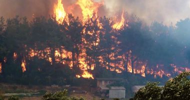 Stire din Eveniment : Un incendiu devastator arde hectare întregi de pădure! Intervenție extremă, inclusiv cu elicopterul
