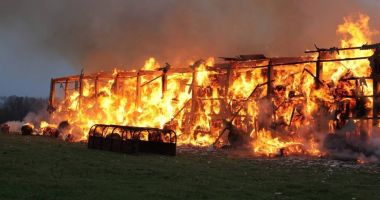 Stire din Eveniment : Incendiu devastator la o fermă de animale din Moviliţa