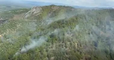 Stire din Eveniment : Incendiu de vegetație pe 20 de hectare în comuna Slatina-Timiș, pompierii intervin cu sprijin aerian
