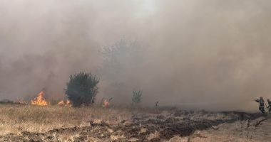 Stire din Eveniment : Incendiu de vegetație uscată, la Poarta Albă! Intervin opt autospeciale de stingere