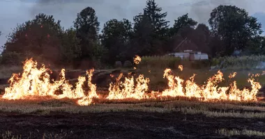Alertă în localitatea Ovidiu! Pompierii intervin pentru stingerea unui incendiu de vegetație