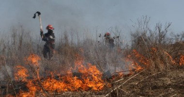Incendiu devastator în complexul lagunar Razelm-Sinoie