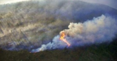 Stire din Actualitate : Incendiile au cuprins România. Peste 170 de hectare de vegetație uscată au fost afectate