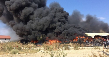 Galerie foto. Incendiu de amploare lângă Constanța. Pompierii  au intervenit cu opt mașini - 2