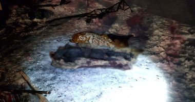 GALERIE FOTO / Tragedie la Constanța! Bărbați carbonizați în casă - 6