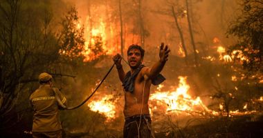 Stire din Actualitate : Peste 10.000 de hectare dintr-un parc național din Algeria, distruse de flăcări