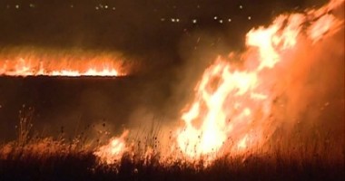 Stire din Eveniment : Grigore Baboianu: Cei care au incendiat Delta vor plăti contravaloarea prejudiciului adus naturii
