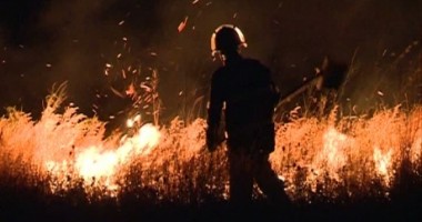 Stire din Eveniment : Incendiu Deltă / Primele măsuri luate vor fi împotriva turismului ilegal, potrivit Gărzii de Mediu