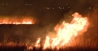 Stire din Eveniment : Incendiu de vegetație devastator, produs de braconierii din Delta Dunării VIDEO