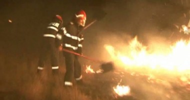 Stire din Eveniment : Rezervația Deltei Dunării, în flăcări! Incendiu, stins după aproape nouă ore