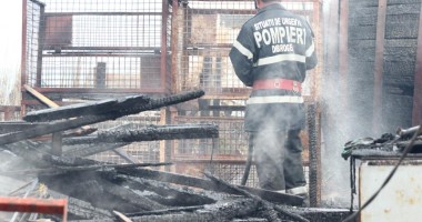 Galerie FOTO. Incendiu devastator între Mamaia și Năvodari. Un bărbat a fost găsit carbonizat! - 4