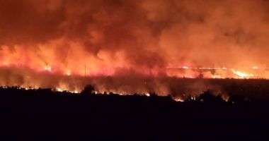 Stire din Eveniment : Video. INCENDIU DE PROPORȚII, în vecinătatea PENITENCIARULUI POARTA ALBĂ! Au ars 50 de hectare de vegetație și 3 clădiri abandonate!