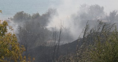 Incendiu în zona plajei Trei Papuci - 3