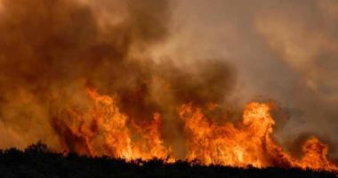 Stire din Eveniment : Tulcea, în flăcări! Circa 45 de hectare cu stuf, incendiate în mai puţin de 24 de ore