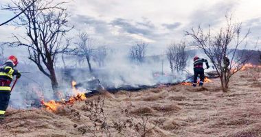 Stire din Actualitate : Un incendiu de vegetaţie activ în sudul Spaniei a fost stabilizat