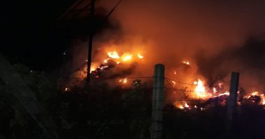 Ce spune IPJ Constanța despre incendiul din Valu lui Traian unde au ars de vii zeci de câini. Proprietarul fusese amendat în vară