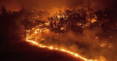 Stire din Actualitate : IMAGINI TERIBILE! Cel puțin 50 de morți, în incendiile de vegetație din Grecia