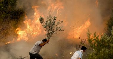 Stire din Actualitate : Un incendiu de vegetaţie din sud-vestul Turciei, alimentat de vânt şi temperaturile ridicate