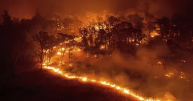 Focurile de vegetație fac ravagii în Grecia. Pompierii luptă cu un front de 5 kilometri