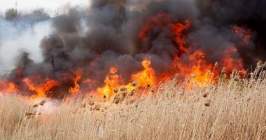 Constanţa: 23 hectare cu vegetaţie uscată cuprinse de flăcări în ultimele 24 de ore