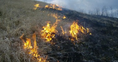 Stire din Eveniment : Amenzi de până la 2.500 de lei pentru provocarea incendiilor de vegetație