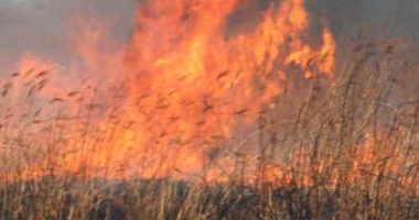 Incendiu de vegetație uscată în zona portului Constanța