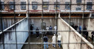 Stire din Actualitate : Inventivitate fără margini. Șobolani cusuți pe burtă, găsiți lângă penitenciar