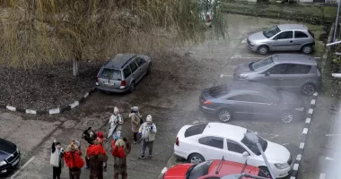 Stire din Eveniment : Violență absurdă. Pentru ce a fost bătut cu bâta un colindător