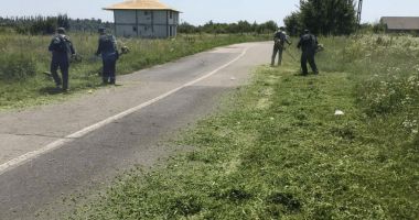 Stire din Social : Legea ambroziei, modificată! Care sunt noutățile pentru proprietarii de terenuri și autoritățile locale