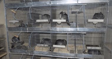 Stire din Economie : ADIO hainelor de blană! Parlamentul României a luat o decizie istorică