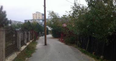 Industria de falși meseriași - 6