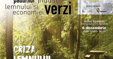 Stire din Economie : Industria lemnului e în pragul falimentului
