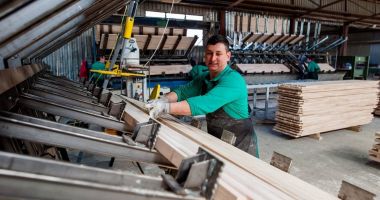 Stire din Economie : Industria de prelucrare a lemnului, afectată de explozia preţurilor la materia primă