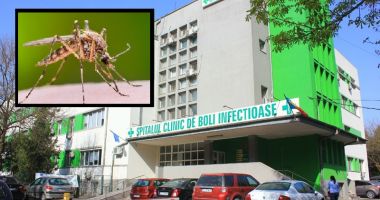 Stire din Social : ALERTĂ LA CONSTANȚA! TÂNȚARII UCIGAȘI FAC NOI VICTIME!