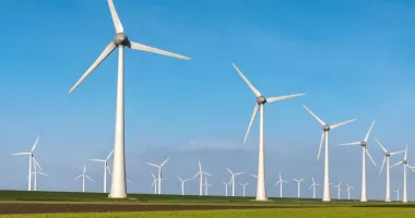 Stire din Economie : Silvicultură, energie, investiții. INFO economic