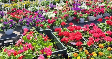 Stire din Economie : Bursă, fiscalitate, inteligență artificială. INFO economic