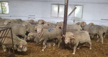 Bursă, agricultură, infrastructură rutieră. INFO economic