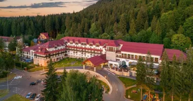 Achiziții publice, turism, datorie sector privat. INFO economic