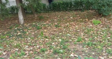 Constănțeni, atenție! Infractori sunt peste tot, nu le cădeți în plasă - 2