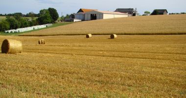 Stire din Economie : În iunie va fi lansat un program de investiţii în agricultură