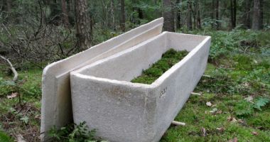 Stire din Social : Au apărut primele înmormântări ecologice! „Nu vreau ca ultimul meu act pe această planetă să fie un act poluant”