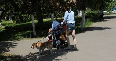 Stire din Sport : În ce instituții mai au românii încredere