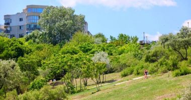 Stire din Social : În sfârșit! A fost curățată "jungla" de la Plaja Modern