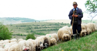 Stire din Economie : Inspectorii Fiscului dau lecții crescătorilor de animale