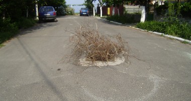 Cartierul Faleză Nord, luat la puricat de inspectorii lui Gigi Chiru - 2