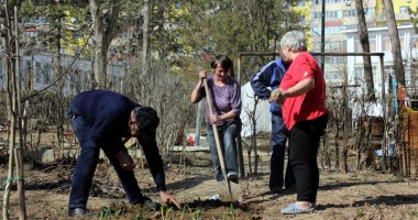 Stire din Social : A început curățenia de primăvară