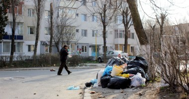 Mormane de gunoaie între blocuri
